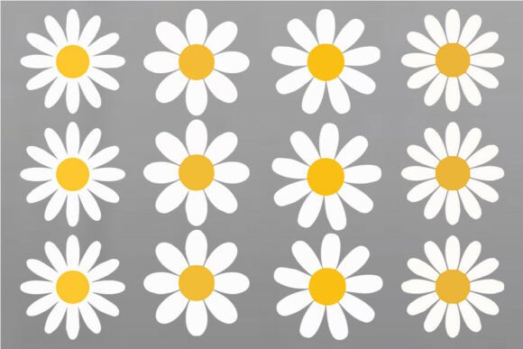 Download Daisy Flower SVG Bundle, Color Daisy SVG - Premium Resources